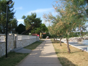 LAURUS Ap2 N.3: